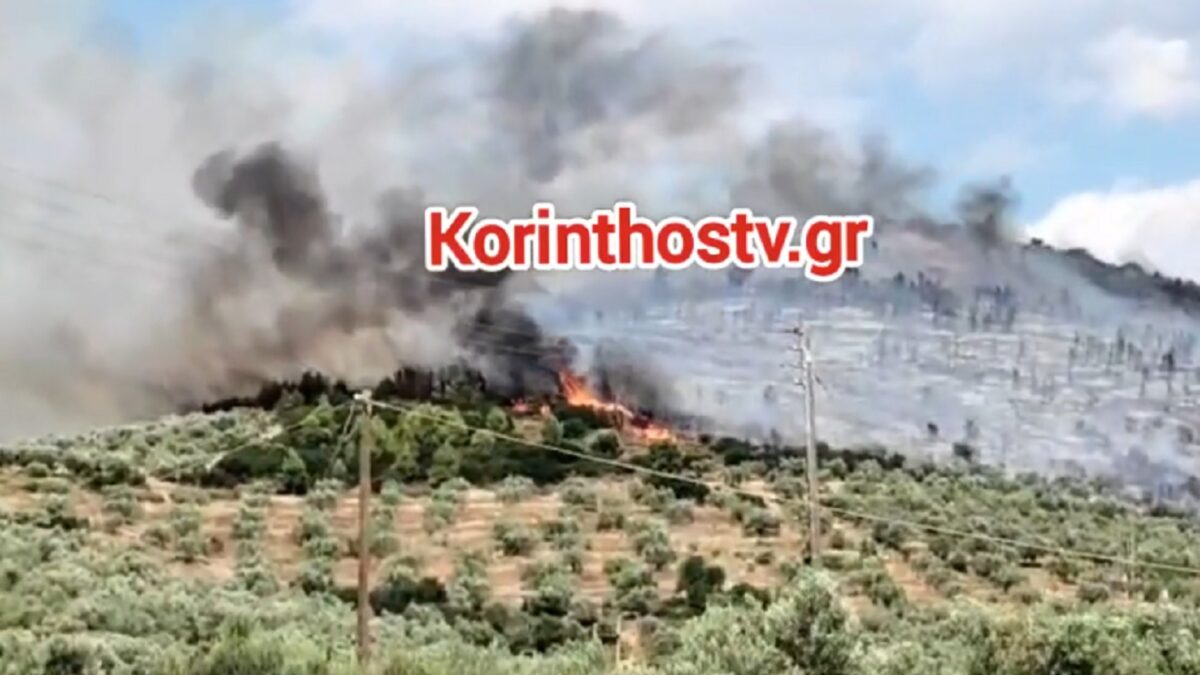 Φωτιά Κορινθία