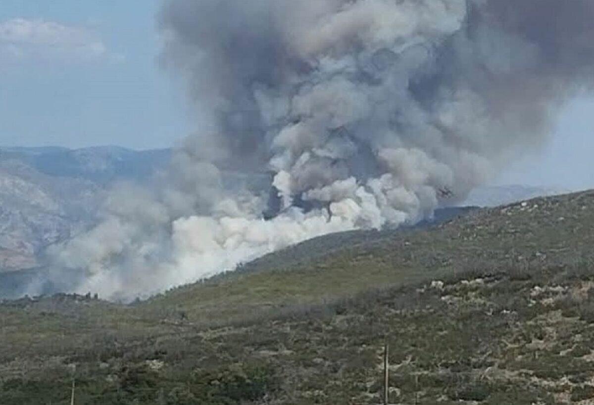 Φωτιά στην Οινόη