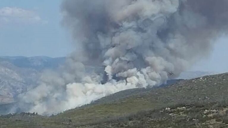Φωτιά στην Οινόη