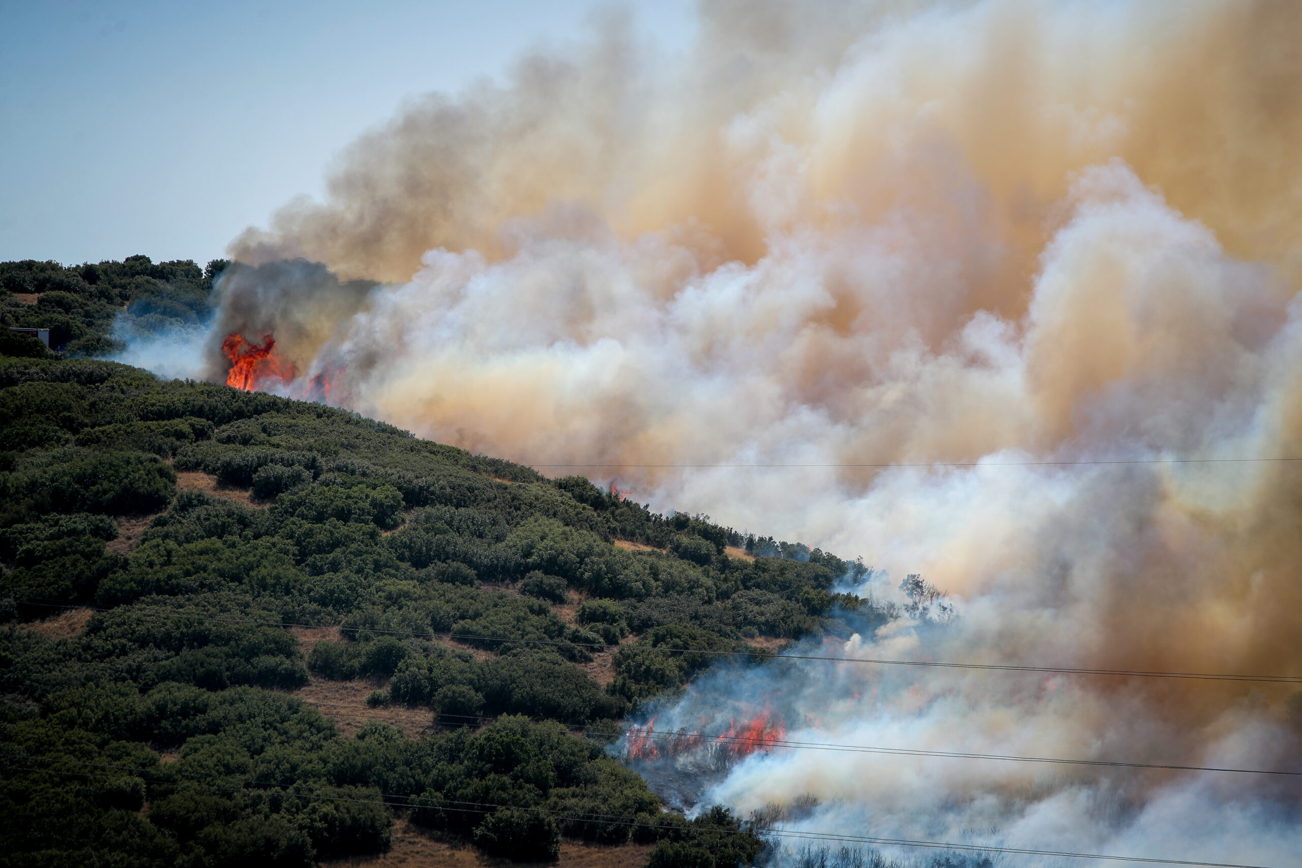 ΒΑΣΙΛΗΣ ΒΕΡΒΕΡΙΔΗΣ
