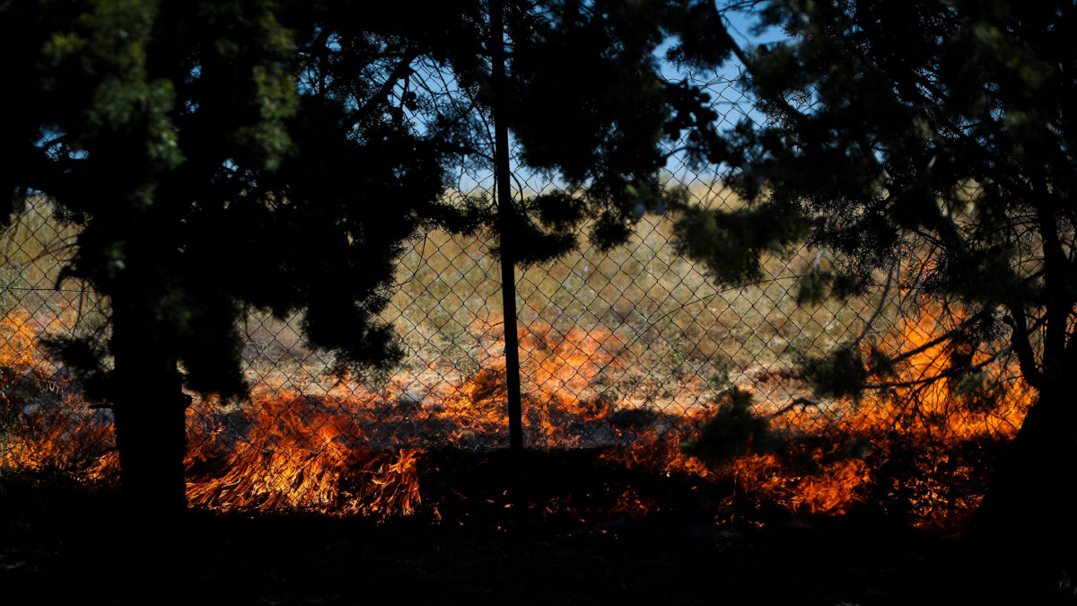 ΦΩΤΟΓΡΑΦΙΑ ΑΡΧΕΙΟΥ ΒΑΣΙΛΗΣ ΒΕΡΒΕΡΙΔΗΣ