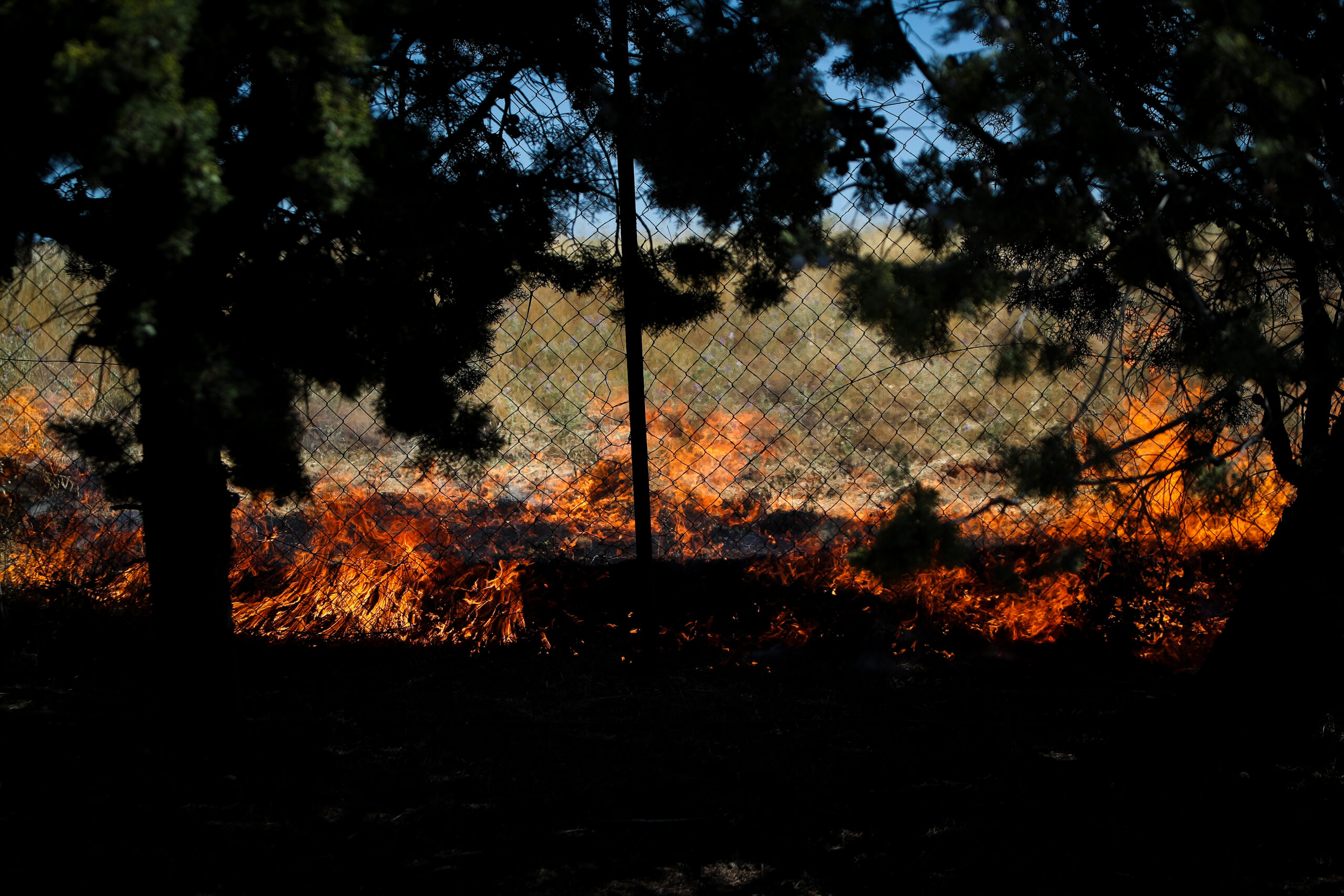 ΒΑΣΙΛΗΣ ΒΕΡΒΕΡΙΔΗΣ