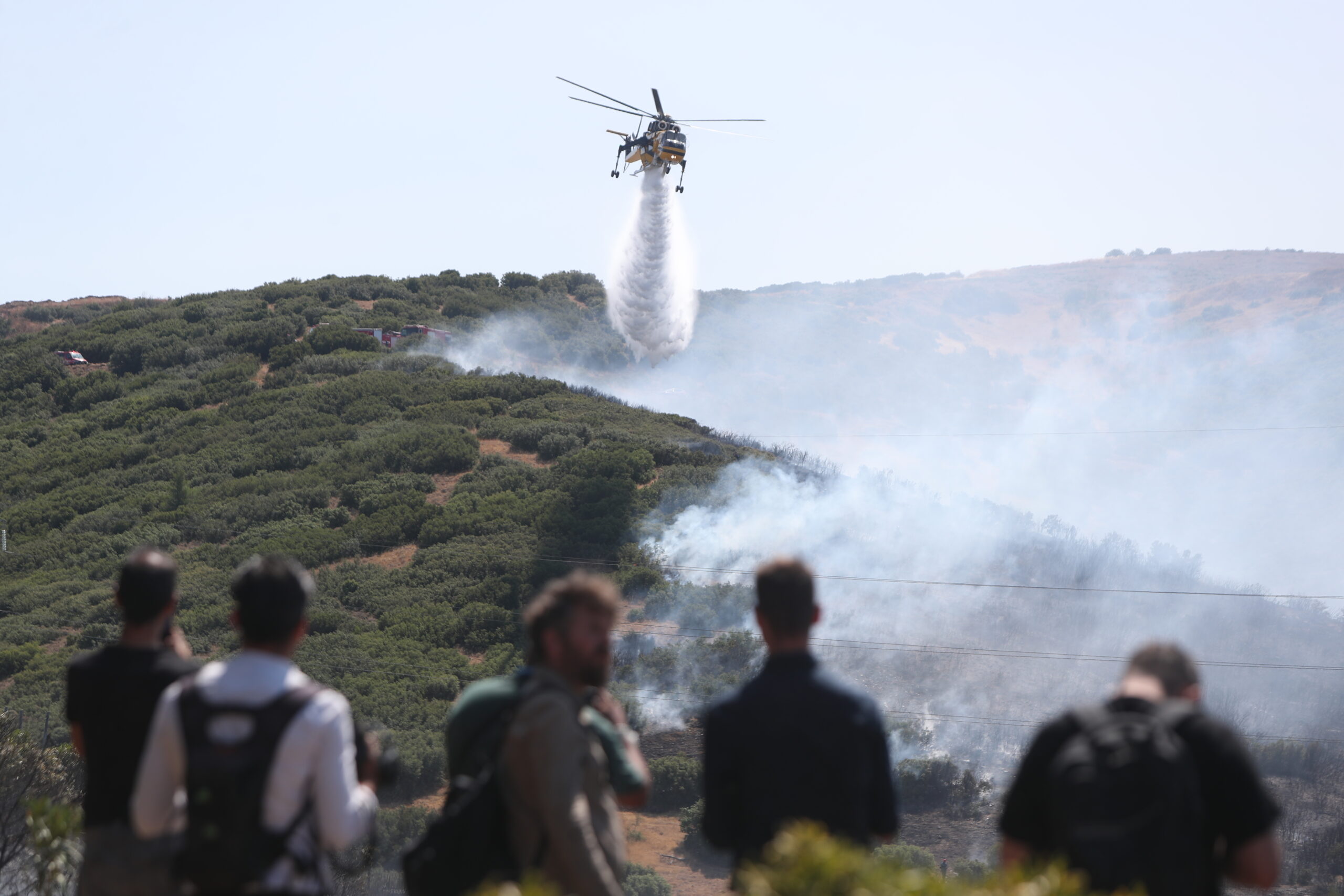 ΒΑΣΙΛΗΣ ΒΕΡΒΕΡΙΔΗΣ