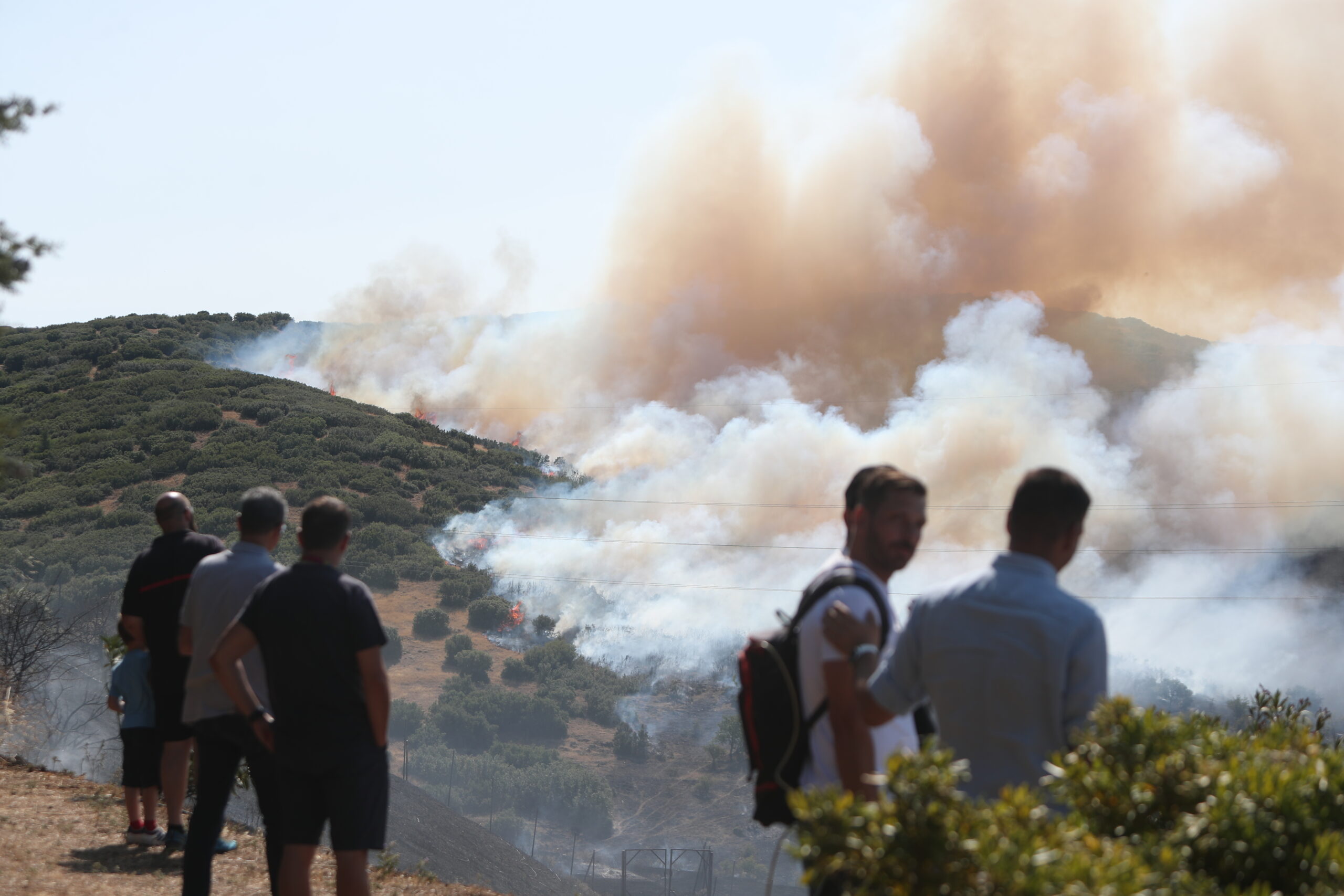 ΒΑΣΙΛΗΣ ΒΕΡΒΕΡΙΔΗΣ
