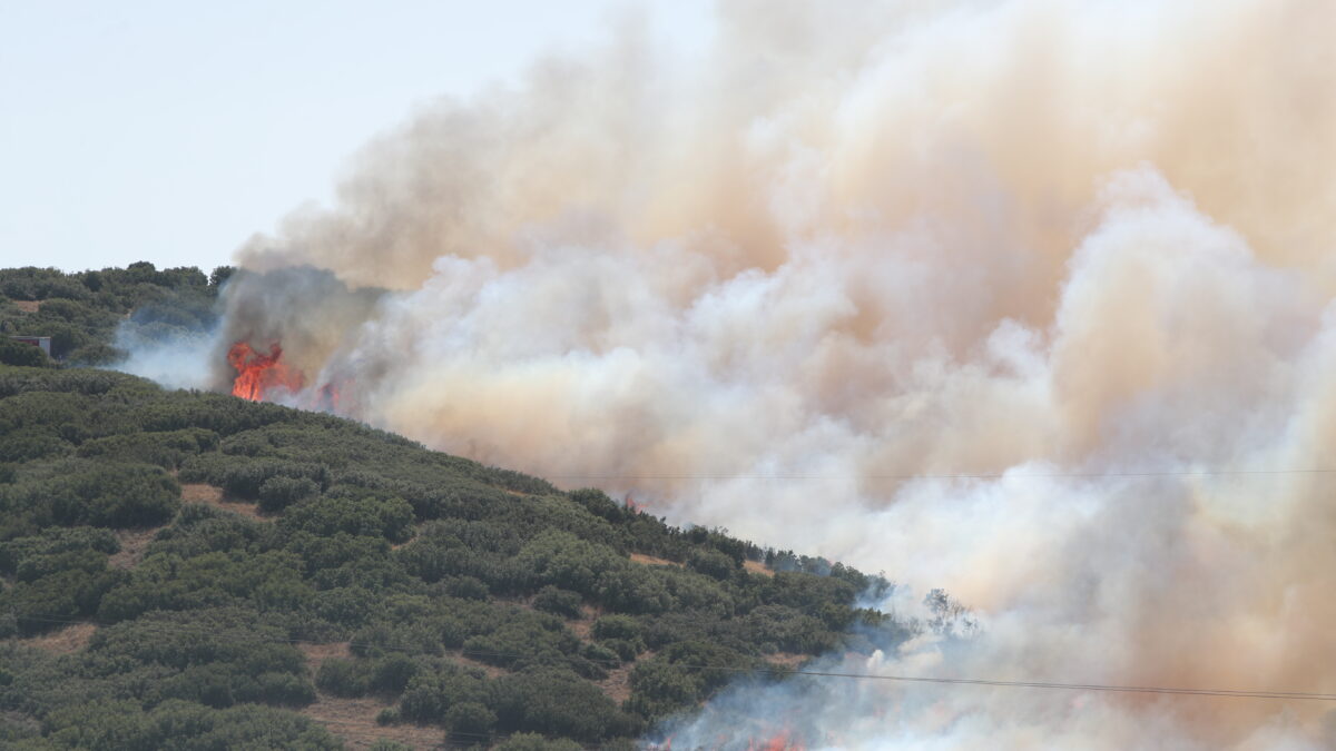ΒΑΣΙΛΗΣ ΒΕΡΒΕΡΙΔΗΣ