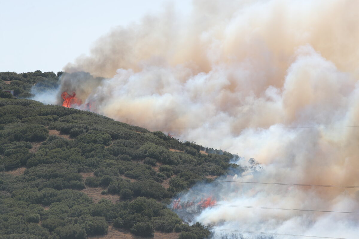 ΒΑΣΙΛΗΣ ΒΕΡΒΕΡΙΔΗΣ