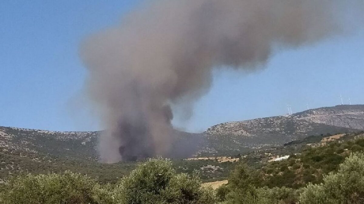 Φωτιά στην Τροιζηνία
