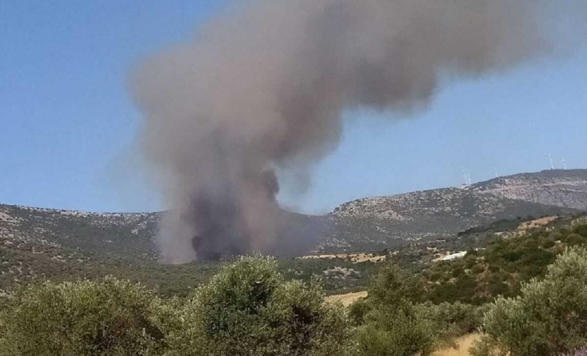Φωτιά στην Τροιζηνία