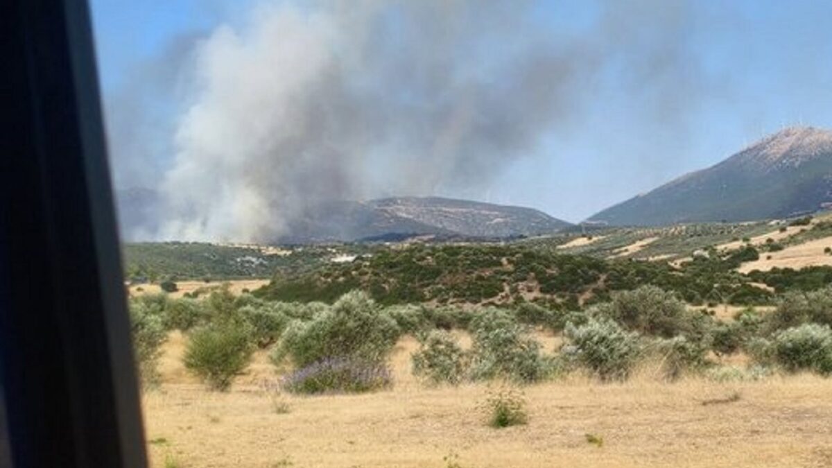 Φωτιά στην Τροιζηνία