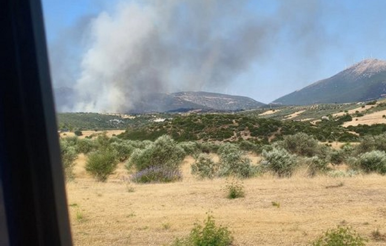 Φωτιά στην Τροιζηνία