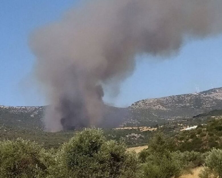 Φωτιά στην Τροιζηνία