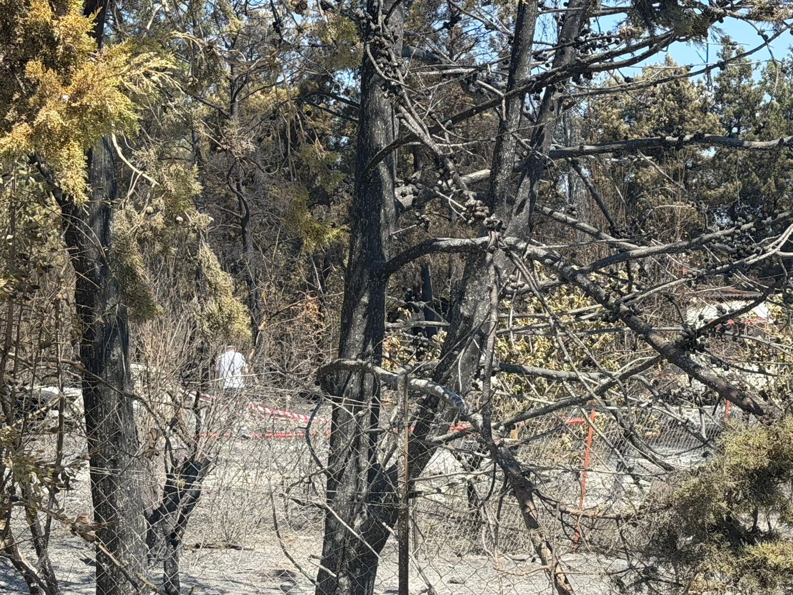 Σε αυτό το σημείο βρέθηκε η σορός του 66χρονου