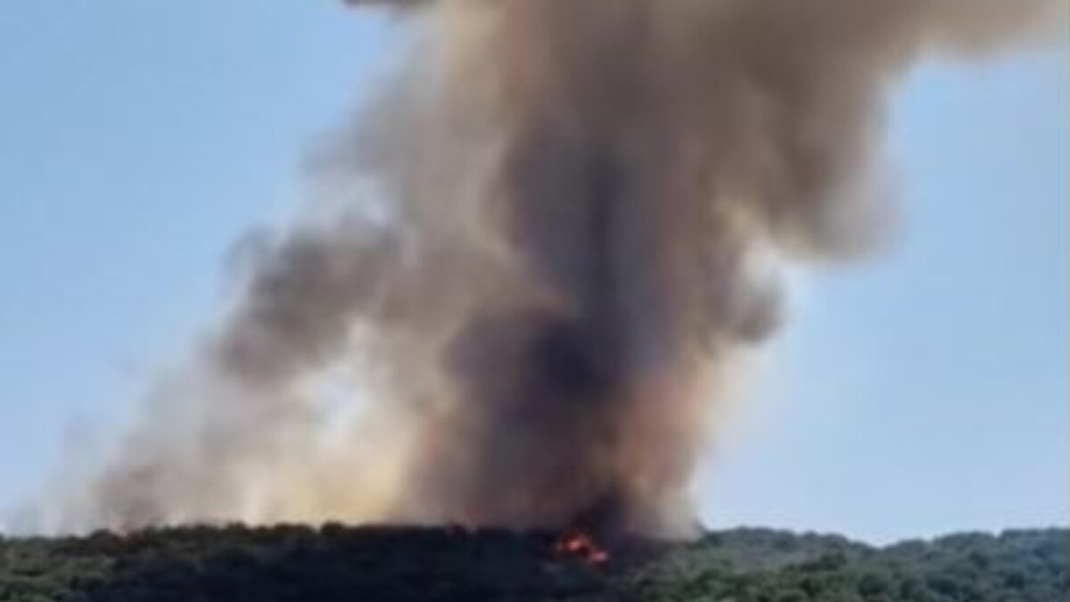 Φωτιά στο Γύθειο