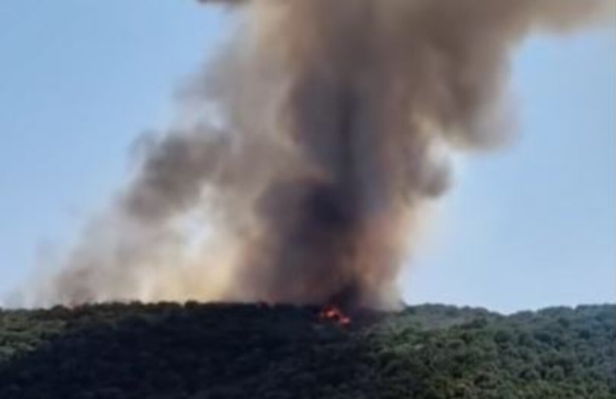 Φωτιά στο Γύθειο