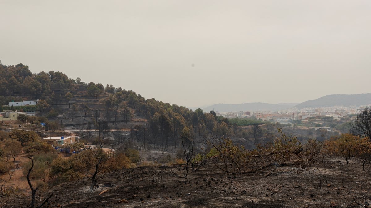 Καμένες εκτάσεις από τις φωτιές στην Ισπανία