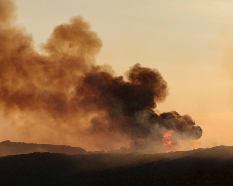 REUTERS