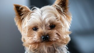 Πηγή φωτό: iStock