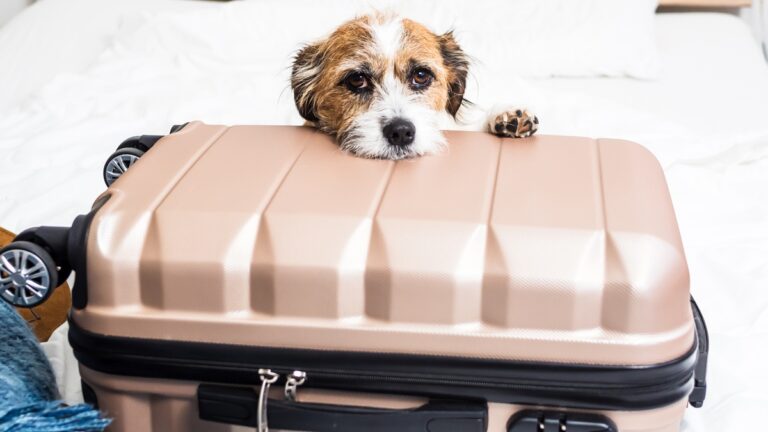 Πηγή φωτό: iStock