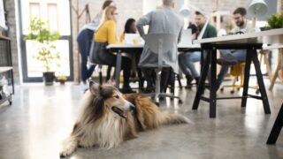 Πηγή φωτό: iStock