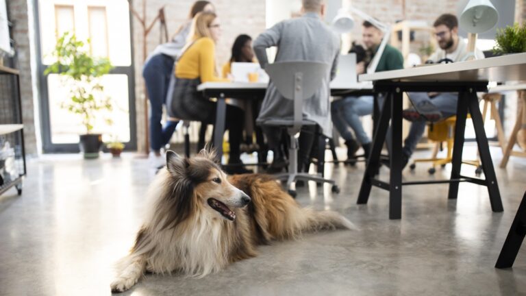 Πηγή φωτό: iStock