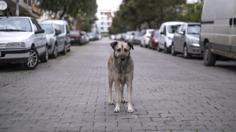 Πηγή φωτό: iStock