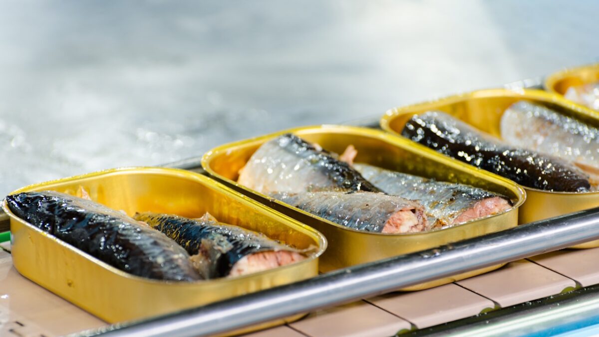 Fish laid in cans. Production of canned fish