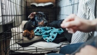 Πηγή φωτό: iStock
