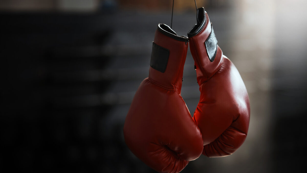 Boxing gloves