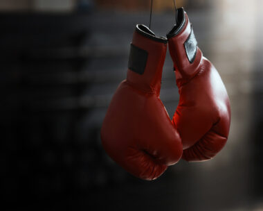Boxing gloves