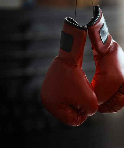 Boxing gloves