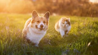 Πηγή φωτό: iStock