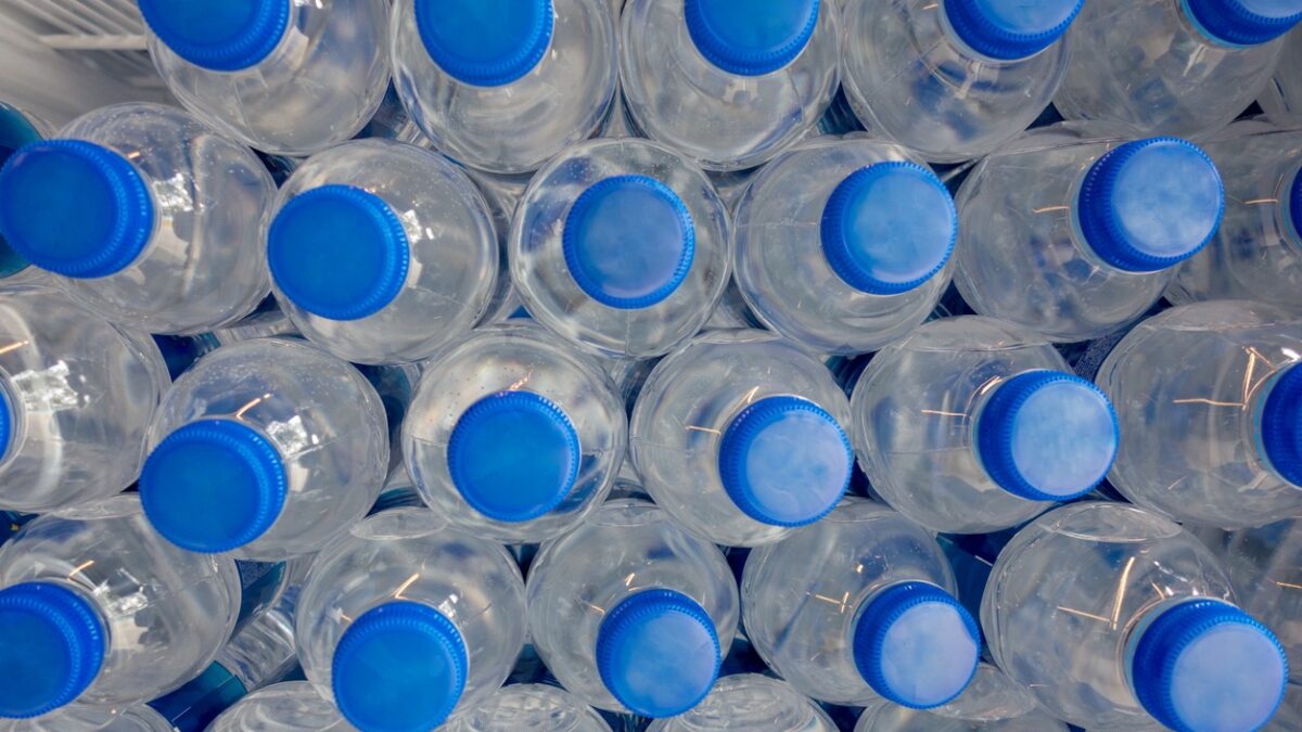 pet water, water, market