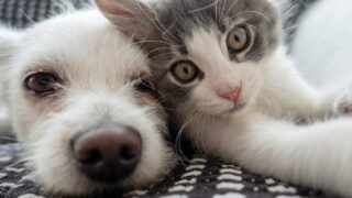 Πηγή φωτό: iStock