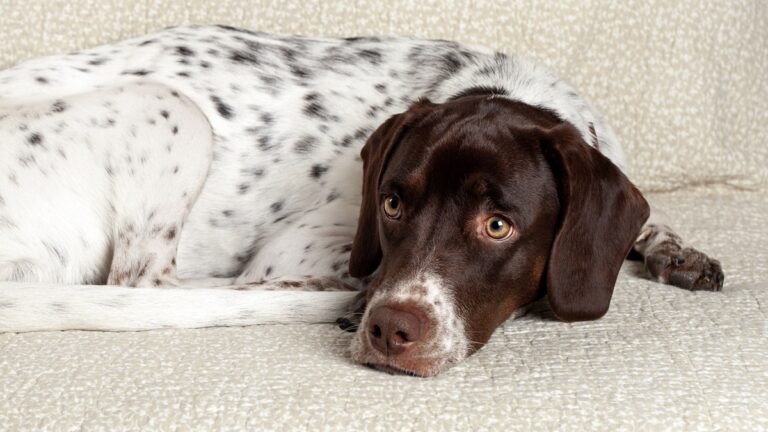 Πηγή φωτό: iStock