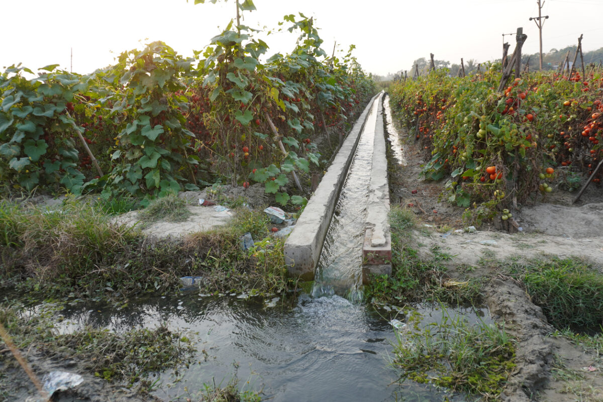 A farmer irrigation channel running through a field of crops likely for water supply in the field, farm