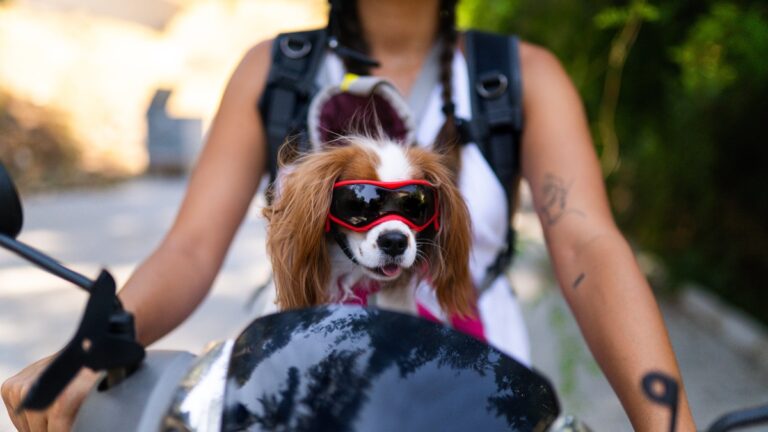 Πηγή φωτό: iStock
