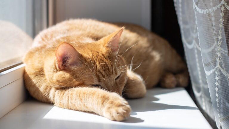 Πηγή φωτό: iStock