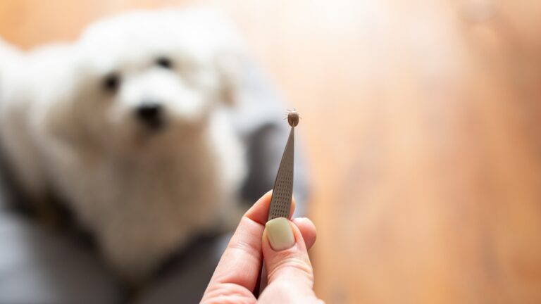 Πηγή φωτό: iStock