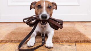 Πηγή φωτό: iStock