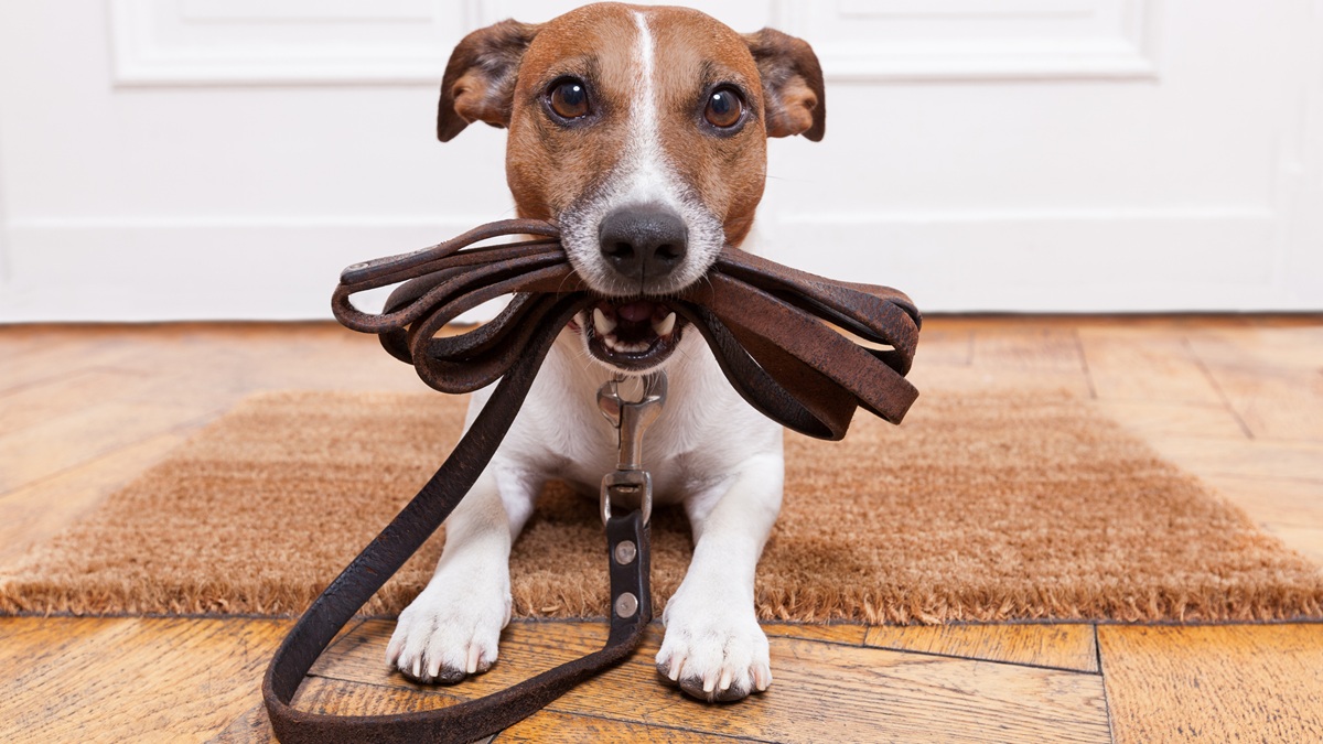 Πηγή φωτό: iStock
