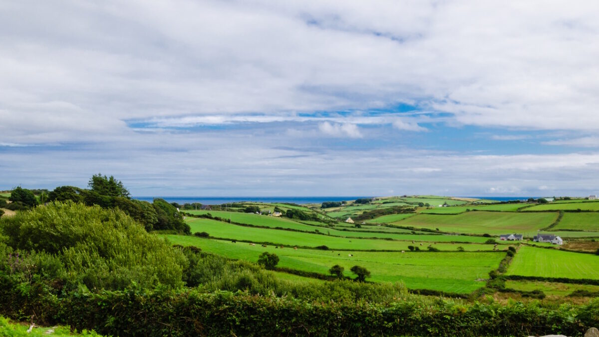 view of the countryside in ireland