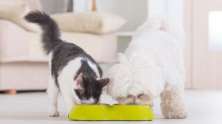 Πηγή φωτό: iStock
