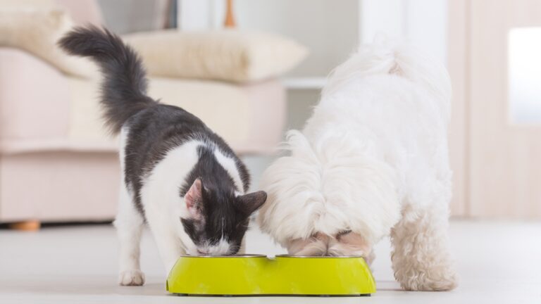 Πηγή φωτό: iStock