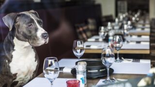 Πηγή φωτό: iStock