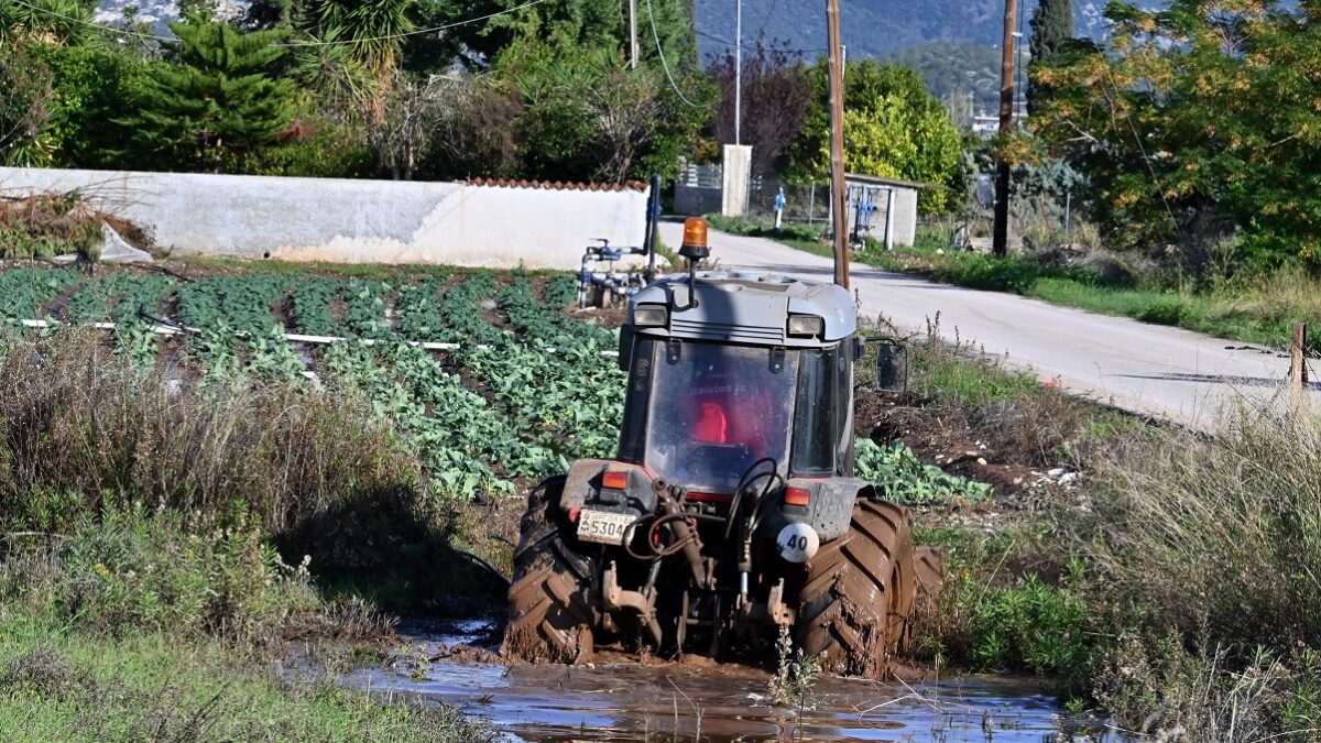 Ζημιές σε καλλιέργειες