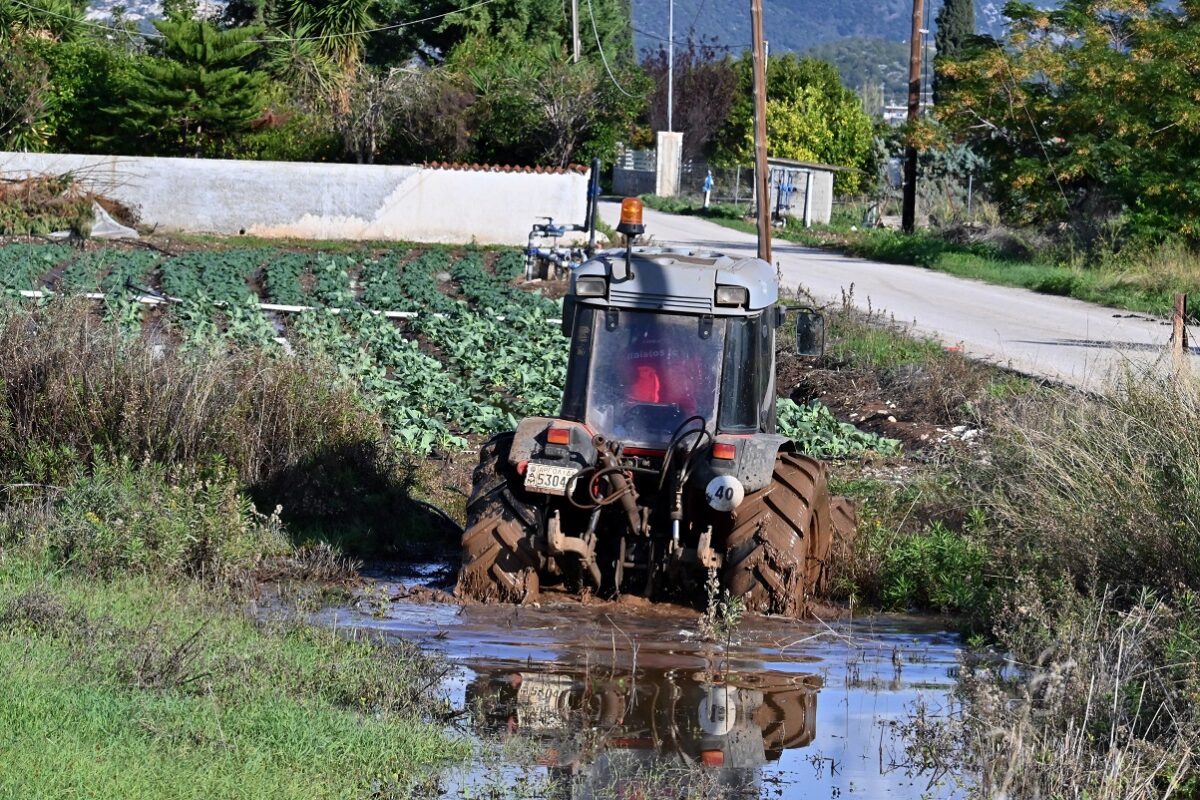 Ο ΕΛΓΑ ξεκίνησε τις καταγραφές ζημιών από τις χαλαζοπτώσεις - Αποζημιώσεις στο 100% και προκαταβολές στα πρότυπα Daniel