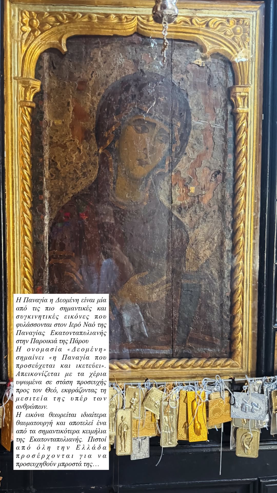 Kατερίνα Καινούργιου