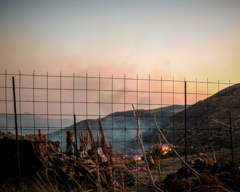 Πυρκαγιά στην περιοχή Κρύα Βρύση στο Ρέθυμνο της Κρήτης, ισχυρές πυροσβεστικές επίγειες και εναέριες δυνάμεις επιχειρούν για την κατάσβεση της, Τετάρτη 29 Ιουλίου 2026 (ΓΙΑΝΝΗΣ ΑΓΓΕΛΑΚΗΣ / EUROKINISSI)