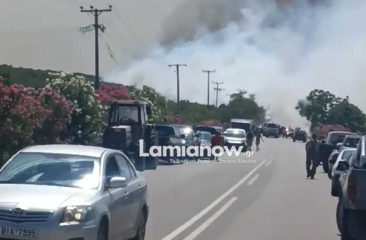 ΦΩΤΟ από το LamiaNow