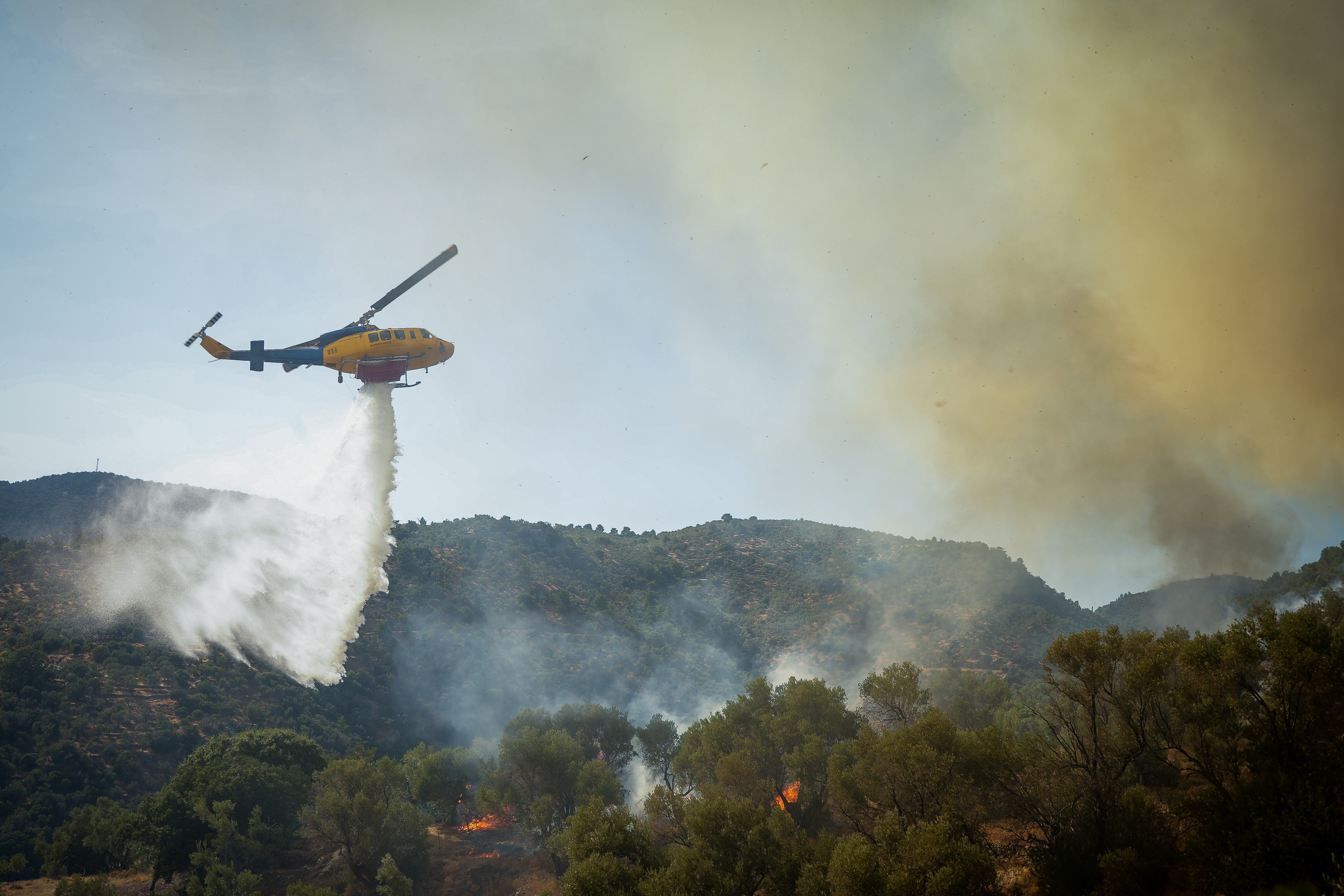 Φωτιά στη Λέσβο: Τιτάνια μάχη με αναζωπυρώσεις και ισχυρούς ανέμους - Καταστράφηκαν στάβλοι, τραυματίστηκε πυροσβέστης